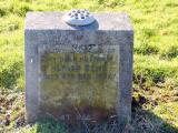 image of grave number 289775
